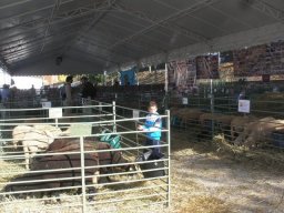 phoca_thumb_l_fotosnoviembre2012 2527